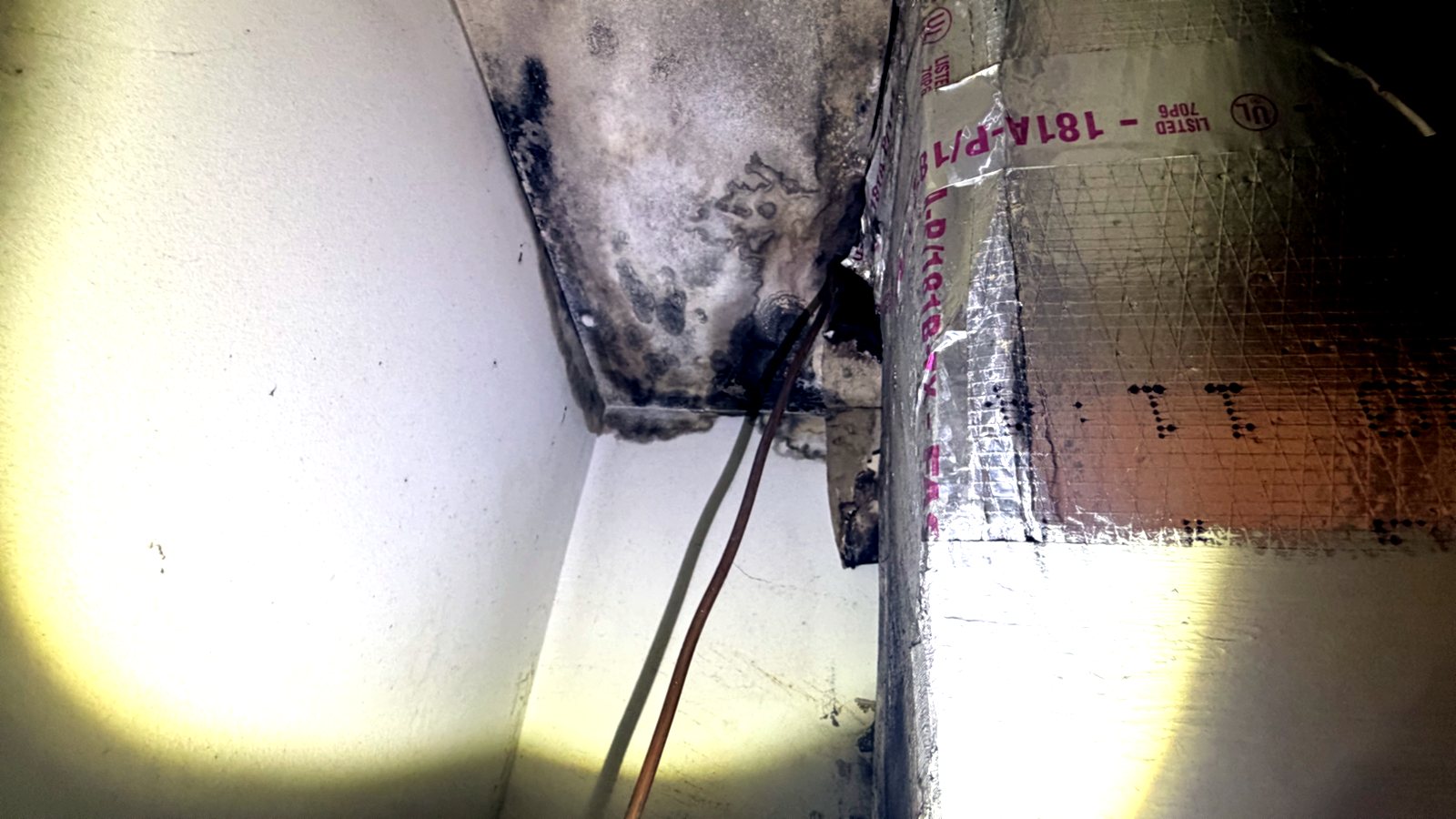 Crecimiento de moho en la cámara de distribución y la conexión del conducto de una unidad de tratamiento de aire en Florida