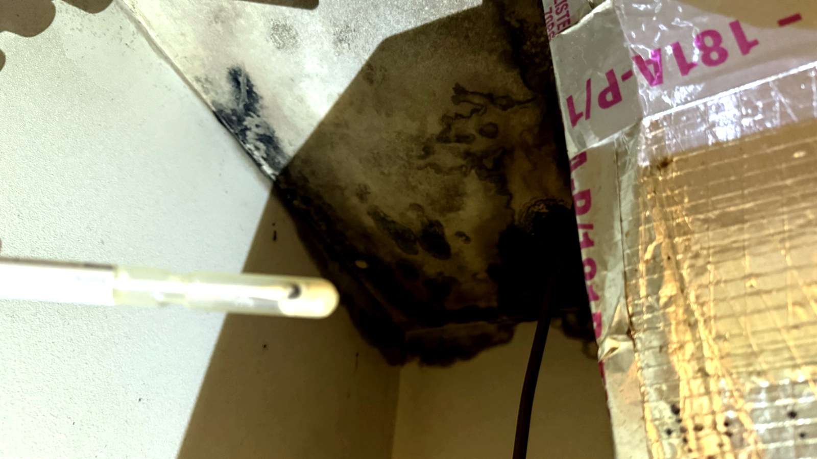 Muestreo de superficies en la cámara de distribución de una unidad de tratamiento de aire en Florida tras una filtración de agua